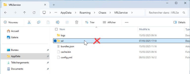 Enscape Avis de licence Supp SSL
