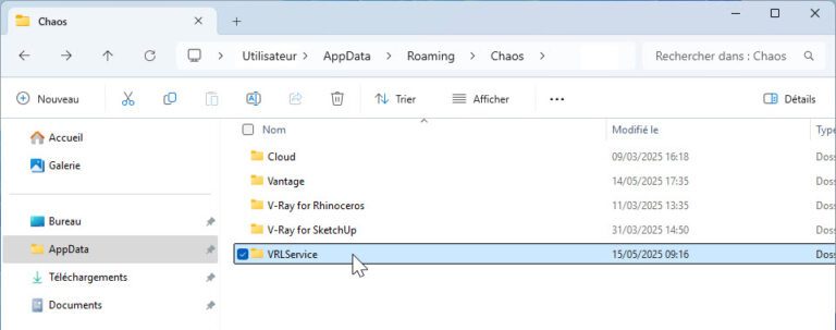 Enscape Avis de licence VRLService